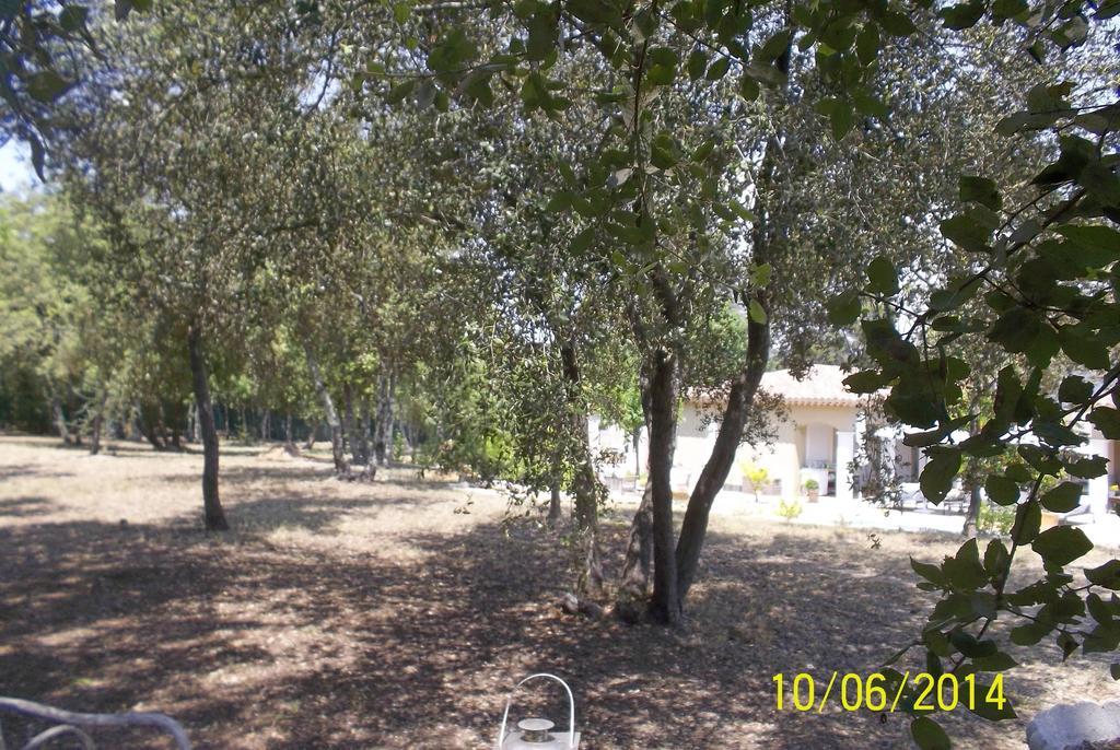 Maprovencale Bed & Breakfast Les Arcs-sur-Argens Ngoại thất bức ảnh