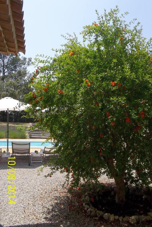 Maprovencale Bed & Breakfast Les Arcs-sur-Argens Ngoại thất bức ảnh